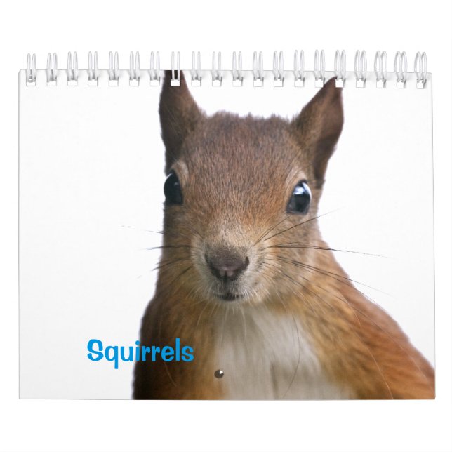 Calendario de Ardillas (Tapa)