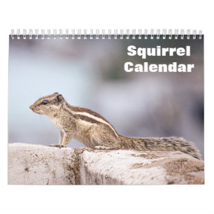 Calendario de Ardillas 2027