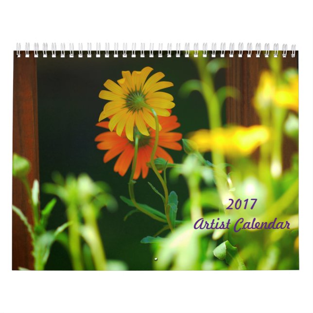 Calendario de Artista 2017 (Tapa)