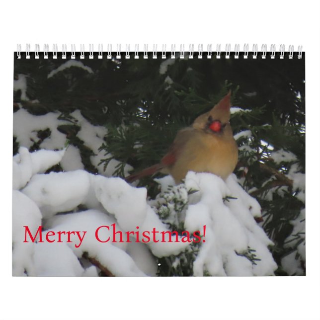 Calendario de atardecer de 2025 (Tapa)