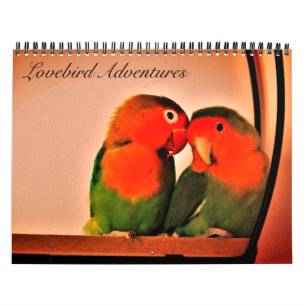 Calendario de aventuras de Lovebird