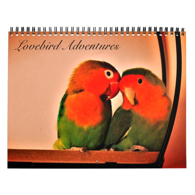 Calendario de aventuras de Lovebird (Tapa)