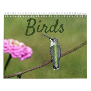 Calendario de aves