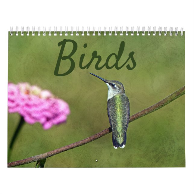 Calendario de aves (Tapa)