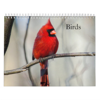 Calendario de aves