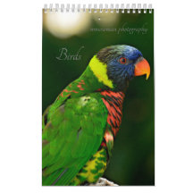 Calendario de aves