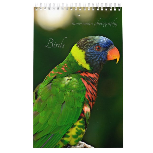 Calendario de aves (Tapa)