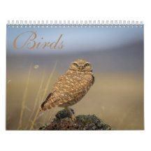 Calendario de aves