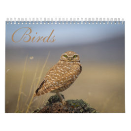 Calendario de aves