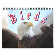 Calendario de Aves