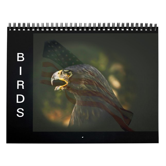 Calendario de aves (Tapa)