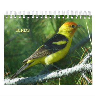 Calendario de aves