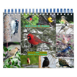 Calendario de aves 2016 desde mi ventana