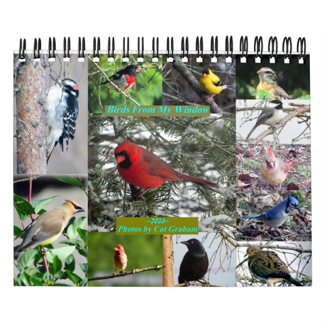 Calendario de aves 2016 desde mi ventana (Tapa)
