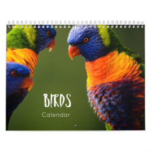 calendario de aves 2022