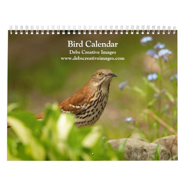 Calendario de aves 2026 (Tapa)