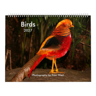 Calendario de aves 2027