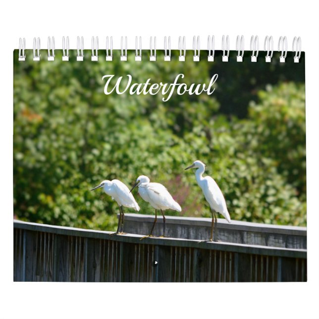 Calendario de aves acuáticas (Tapa)