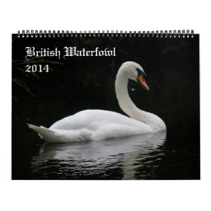 Calendario de aves acuáticas británicas 2014