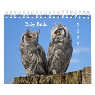 Calendario de Aves Bebés
