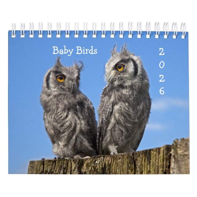 Calendario de Aves Bebés (Tapa)