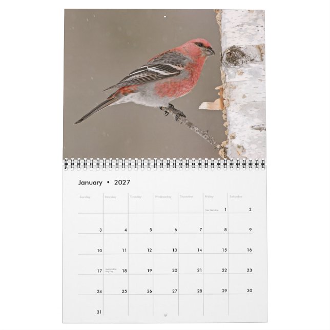 Calendario de Aves de 2013 (Jan 2027)