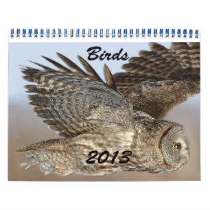 Calendario de Aves de 2013