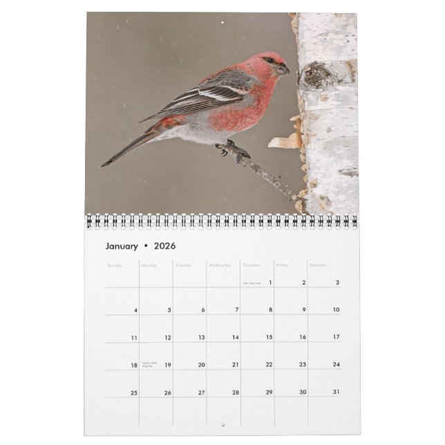 Calendario de Aves de 2013 (Jan 2026)