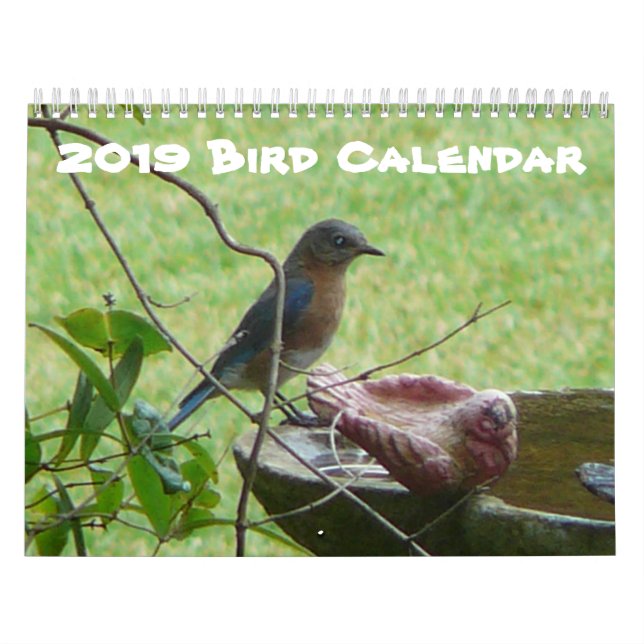 Calendario de aves de 2019 (Tapa)