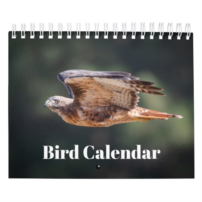 Calendario de aves de 2026 (Tapa)