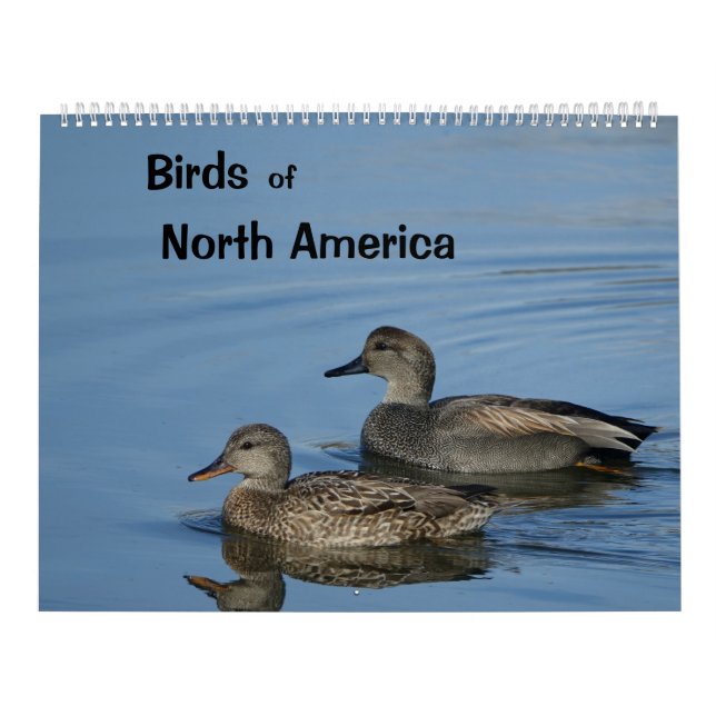 Calendario de Aves de América del Norte (Tapa)
