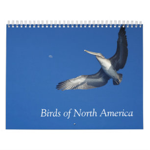 Calendario de Aves de América del Norte