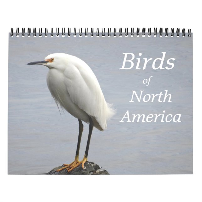 Calendario de Aves de América del Norte (Tapa)