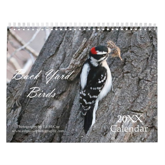 Calendario de Aves de Años Atrás (Tapa)