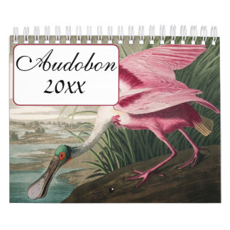 Calendario de aves de Audobon