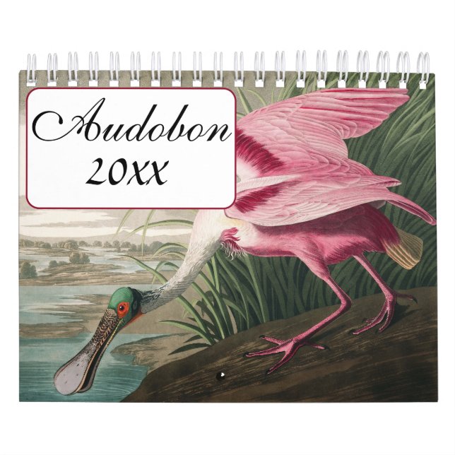 Calendario de aves de Audobon (Tapa)