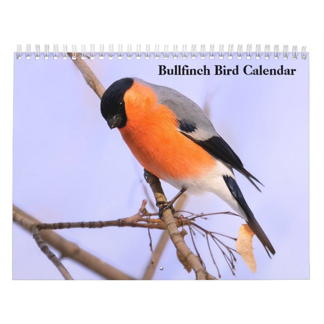Calendario de aves de bullfinch (Tapa)