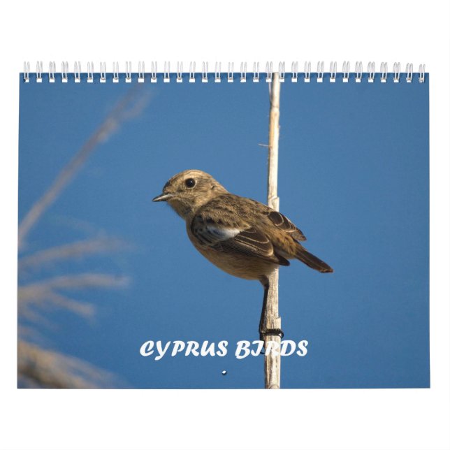 Calendario de aves de Chipre (Tapa)
