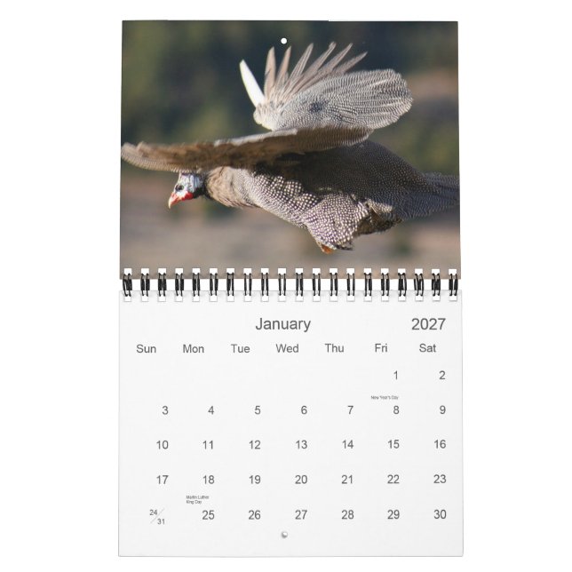 Calendario de aves de Guinea para 2012 (Jan 2027)