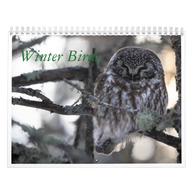 Calendario de aves de invierno (Tapa)