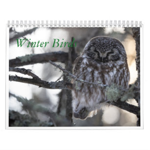 Calendario de aves de invierno