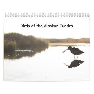 Calendario de Aves de la Tundra de Alaska