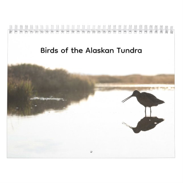 Calendario de Aves de la Tundra de Alaska (Tapa)