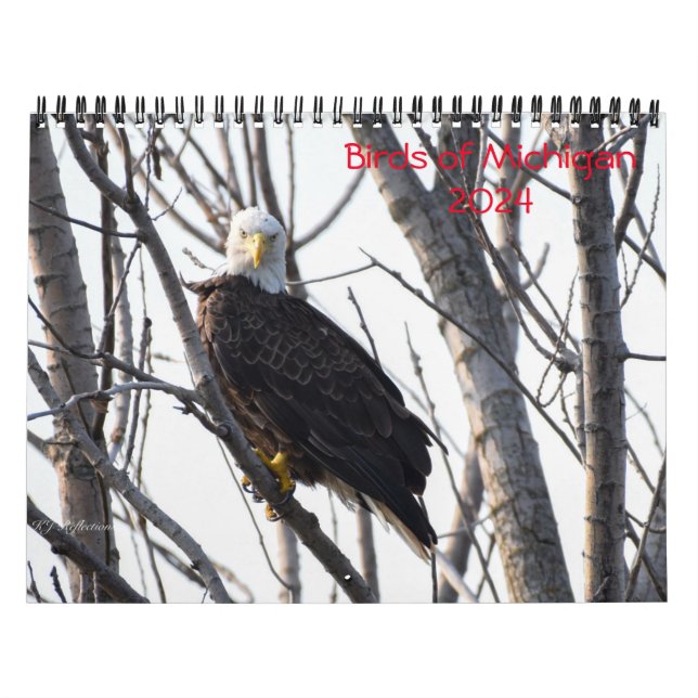 Calendario de aves de Michigan 2024 (Tapa)