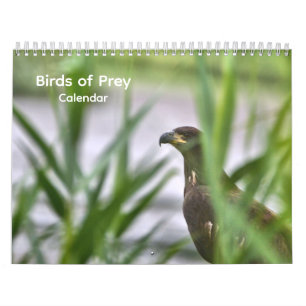 Calendario de Aves de Presa