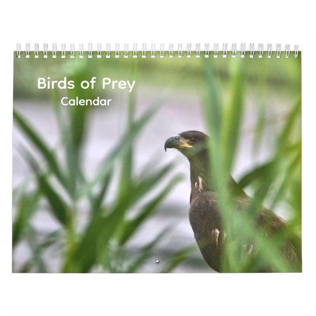 Calendario de Aves de Presa (Tapa)