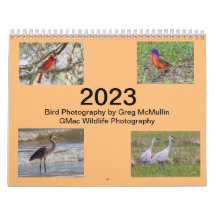 Calendario de Aves de Texas 2023