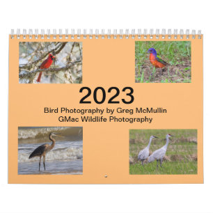 Calendario de Aves de Texas 2023