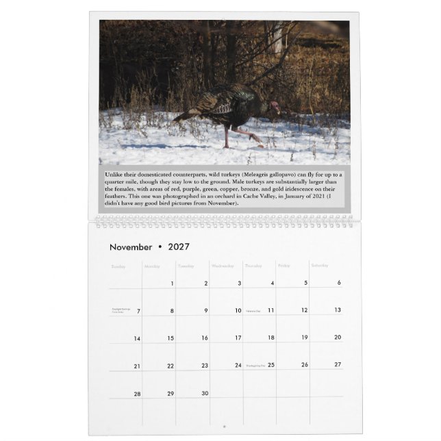 Calendario de Aves de Utah 2027 (Nov 2027)