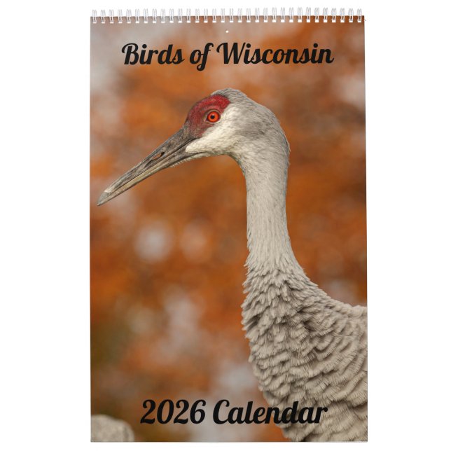 Calendario de Aves de Wisconsin 2026 (Tapa)